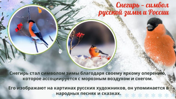9 января отмечается день Снегиря 9 января отмечается день Снегиря.