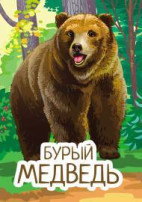 23 марта отмечается Международный день медведя 23 марта отмечается Международный день медведя.