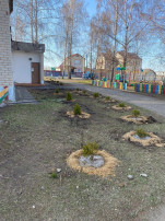 Наш детский сад принял участие в международной акции "Сад памяти" Наш детский сад принял участие в международной акции "Сад памяти".