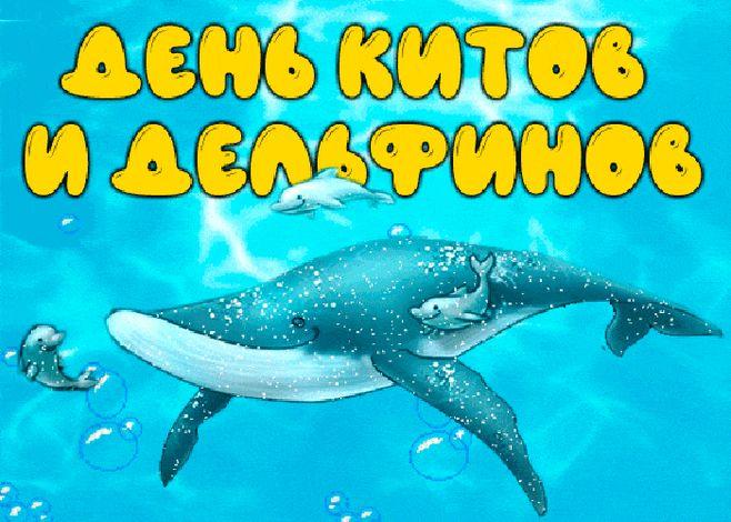 23 июля отмечается Всемирный день китов и дельфинов 23 июля отмечается Всемирный день китов и дельфинов.